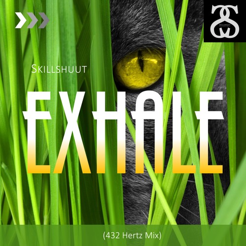 Cover: 5